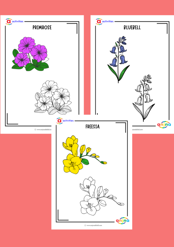 Tracing and Coloring Combo - Image 28