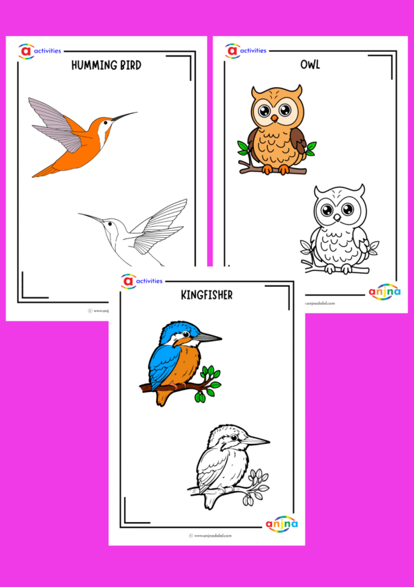 Birds Coloring Sheets - Image 2