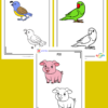 Tracing and Coloring Combo - Image 16