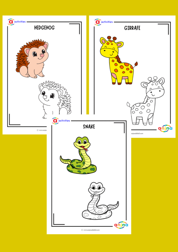 Wild Animals Coloring Sheets - Image 3