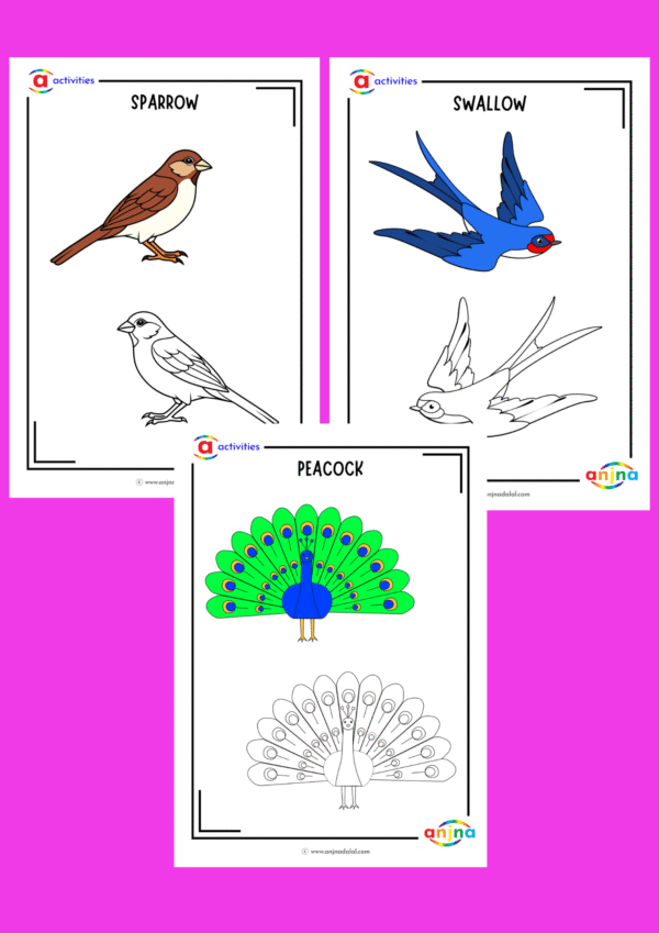 Birds Coloring Sheets - Image 3