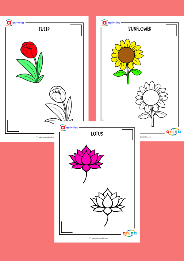 Coloring Sheets Combo - Image 8