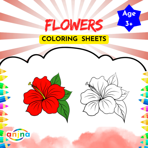 Tracing and Coloring Combo - Image 29