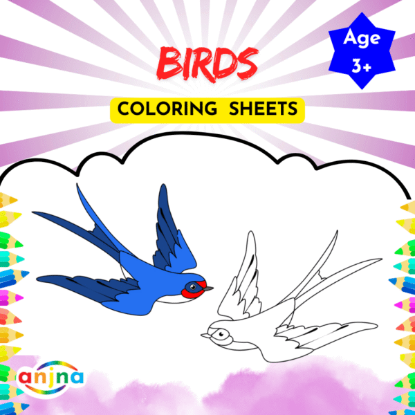 Birds Coloring Sheets